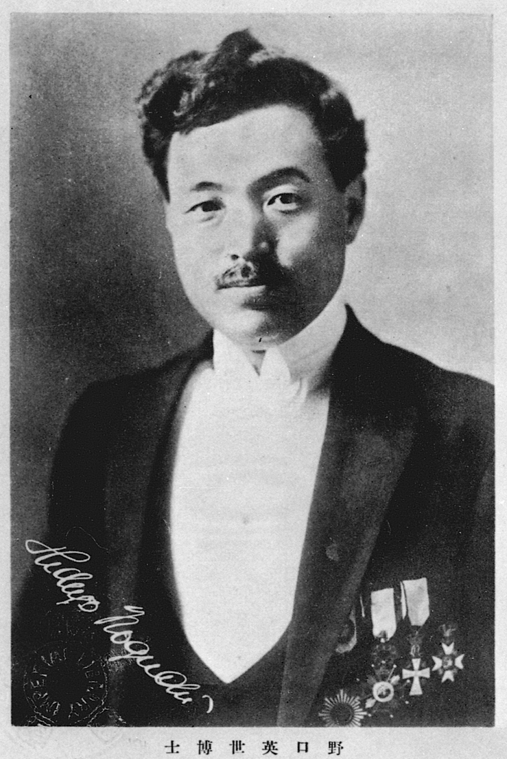 野口 英世の肖像写真